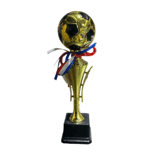 Trofeo de Pelota de Fútbol - 9516