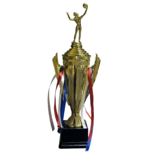 Trofeo de Vóley - 9428
